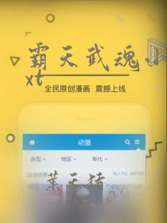 霸天武魂小说txt