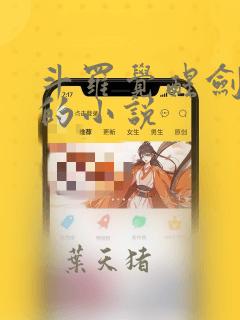 斗罗觉醒剑武魂的小说