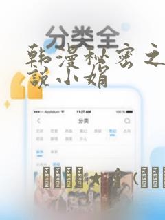 韩漫秘密之夜小说小娟