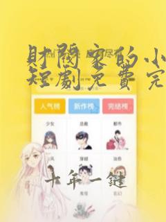 财阀家的小儿子短剧免费完整版