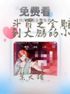 斗罗之金雕进化到大鹏的小说