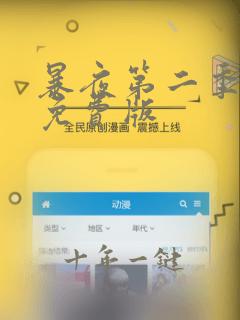 暴夜第二季漫画免费版