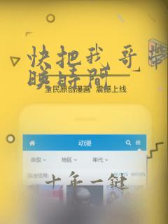 快把我哥带走上映时间