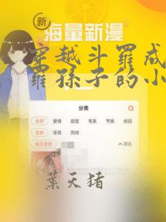 穿越斗罗成剑斗罗孙子的小说