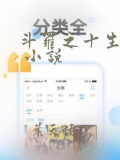 斗罗之十生武魂 小说