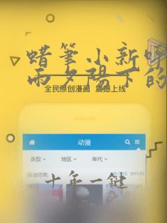 蜡笔小新呼风唤雨夕阳下的春日部男孩国语