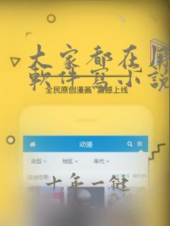 大家都在用什么软件写小说