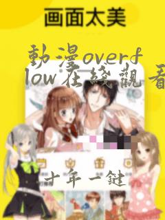动漫overflow在线观看
