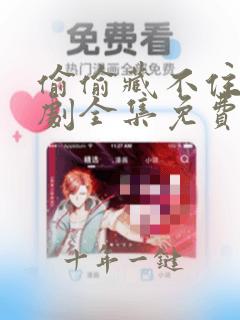 偷偷藏不住电视剧全集免费观看高清