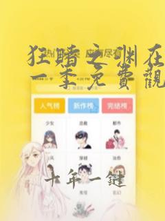 狂赌之渊在线第一季免费观看动漫