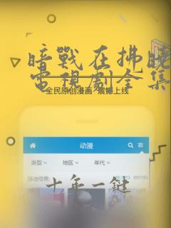 暗战在拂晓之前电视剧全集免费观看