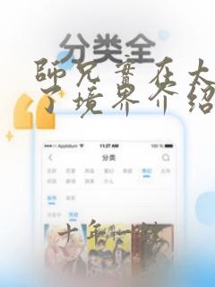 师兄实在太稳健了境界介绍