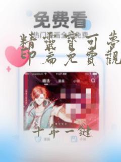 精灵宝可梦新无印篇免费观看完整版