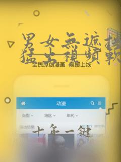 男女无遮挡猛进猛出视频软件