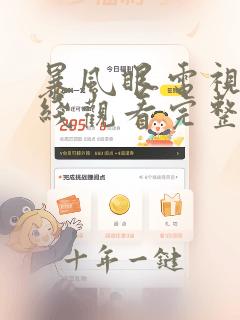 暴风眼电视剧在线观看完整版免费
