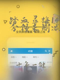 踏血寻梅142分钟未删减版在线观看
