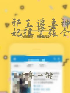 邪王追妻神医狂妃很嚣张全文免费阅读