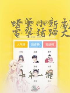 蜡笔小新剧场版电击猪蹄大作战国语