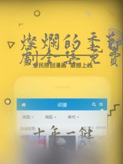 灿烂的季节电视剧全集免费第48集