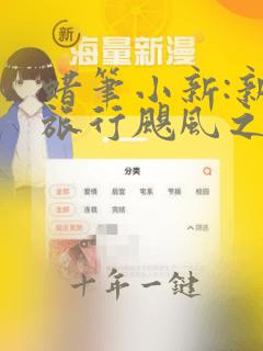 蜡笔小新:新婚旅行飓风之遗失的野原广志