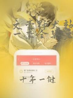 文豪野犬动漫第一季全集免费观看