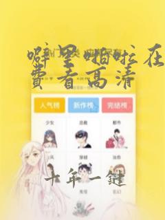 噼里啪啦在线免费看高清