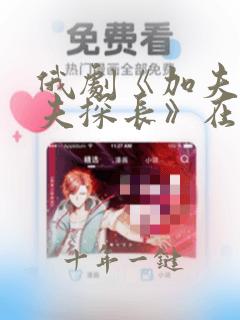 俄剧《加夫里洛夫探长》在线观看