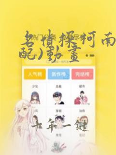 名侦探柯南(中配)动画