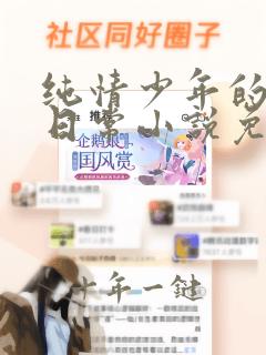 纯情少年的堕落日常小说免费阅读笔趣阁