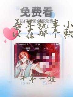 垂耳执事小说可以在哪个软件看