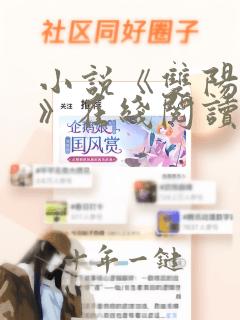 小说《双阳男人》在线阅读