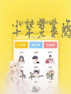 小说最爱你的那十年免费阅读