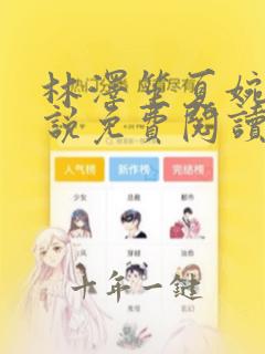 林泽笙夏婉烟小说免费阅读最新章节