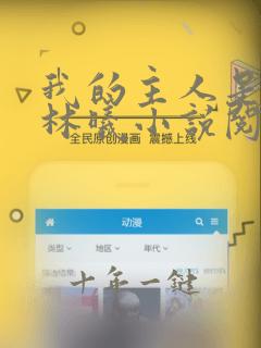 我的主人是妹妹林曦小说阅读免费