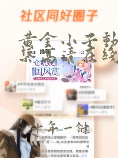 黄金小子动画全集高清在线观看