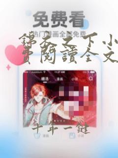 锦衣之下小说免费阅读全文无删减