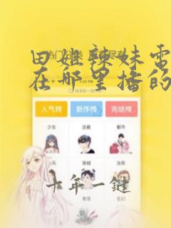 田姐辣妹电视剧在哪里播的