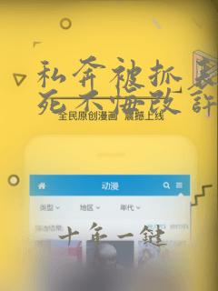 私奔被抓表小姐死不悔改许清瑶免费阅读