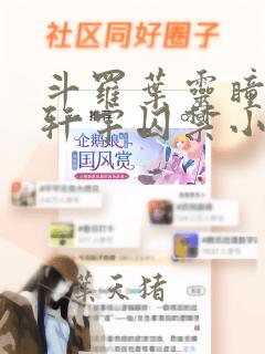 斗罗叶灵瞳被蓝轩宇囚禁小说