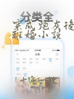 穿成炮灰后只想离婚小说