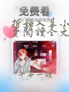 折她入幕小说免费阅读全文无弹窗