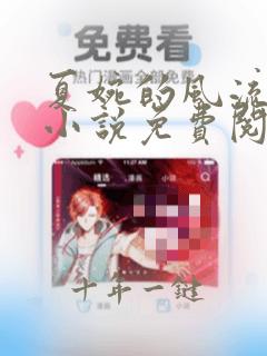 夏婉的风流人生小说免费阅读