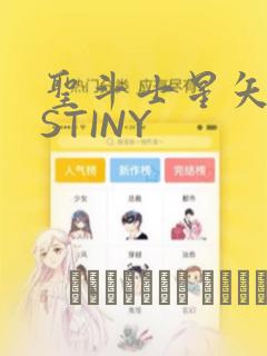 圣斗士星矢DESTINY