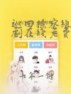 巡回检察组电视剧在线免费观看30集