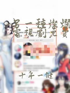 另一种灿烂生活电视剧免费观看