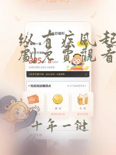 纵有疾风起电视剧免费观看网站
