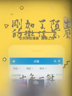 刚加了陌生女孩的微信怎么聊天