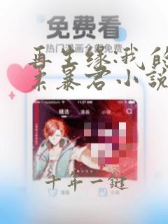 再生缘:我的温柔暴君小说免费阅读