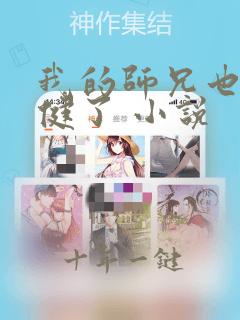 我的师兄也太稳健了 小说
