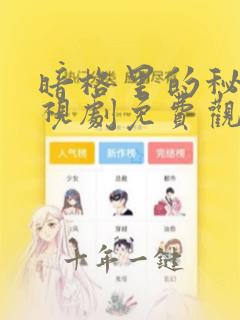 暗格里的秘密电视剧免费观看完整版番外